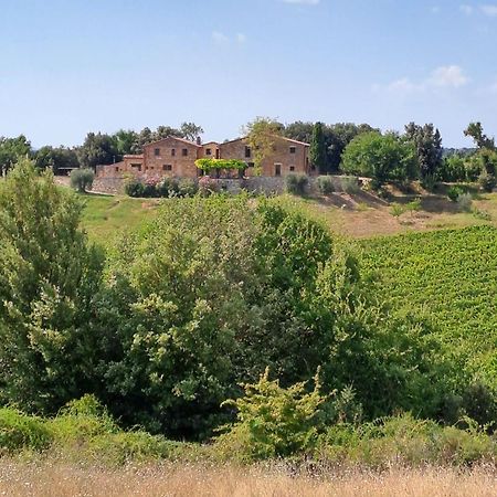Podere Sole Trequanda Kültér fotó