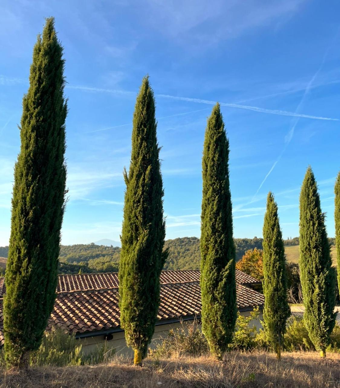 Podere Sole Trequanda Kültér fotó
