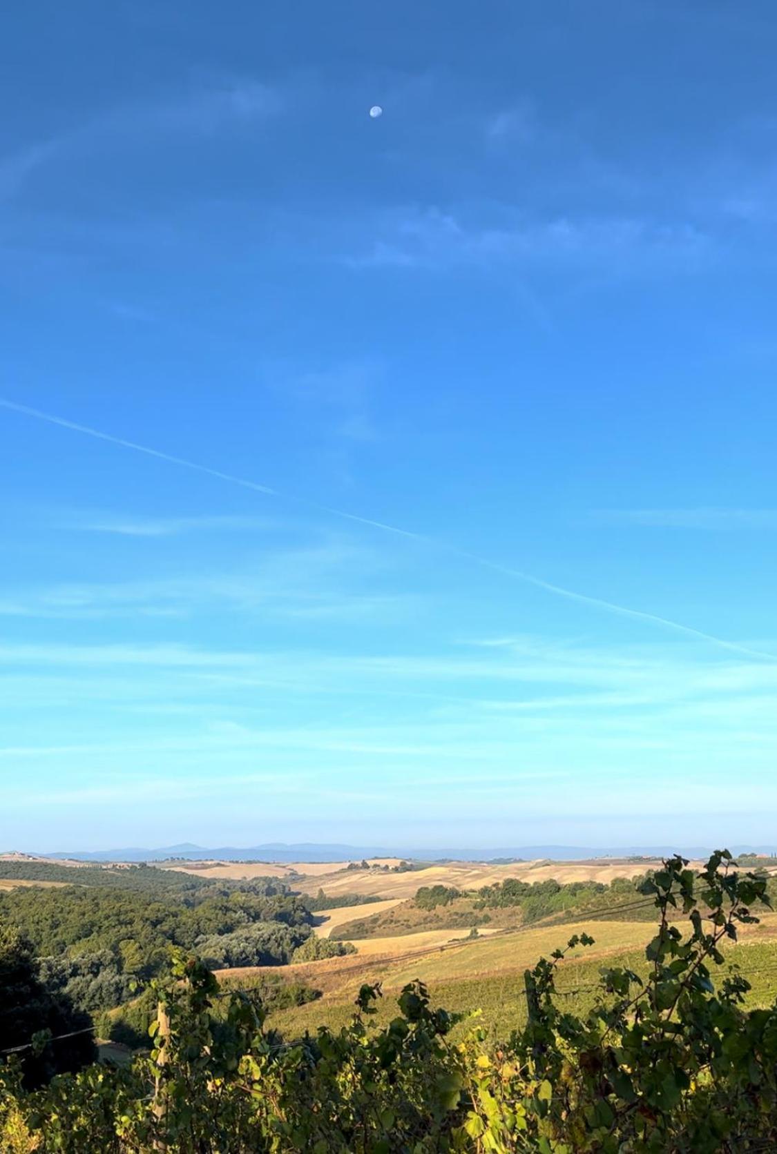 Podere Sole Trequanda Kültér fotó