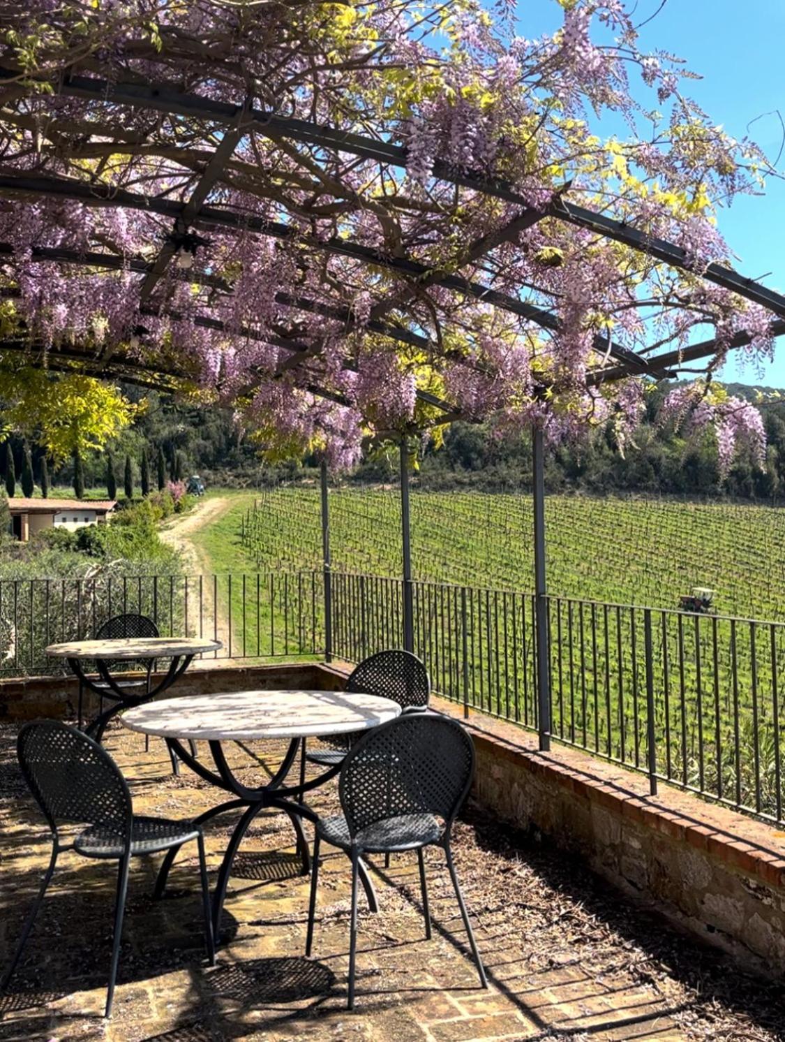 Podere Sole Trequanda Kültér fotó