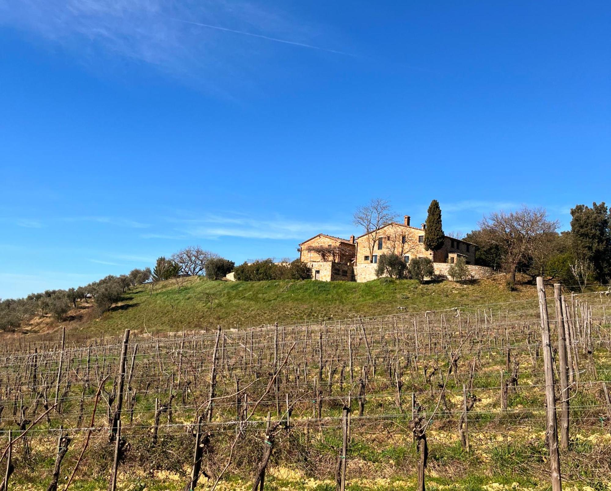 Podere Sole Trequanda Kültér fotó