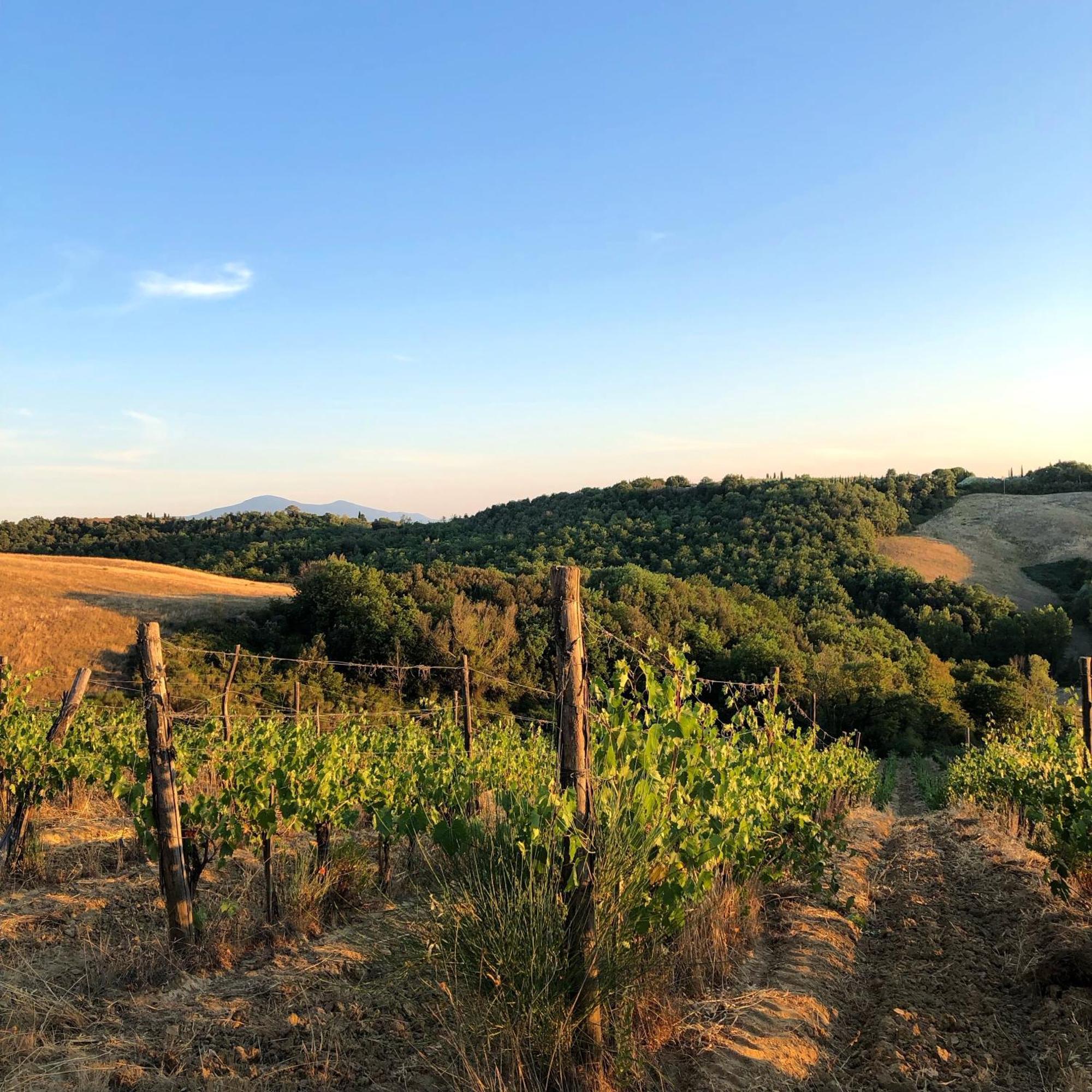 Podere Sole Trequanda Kültér fotó